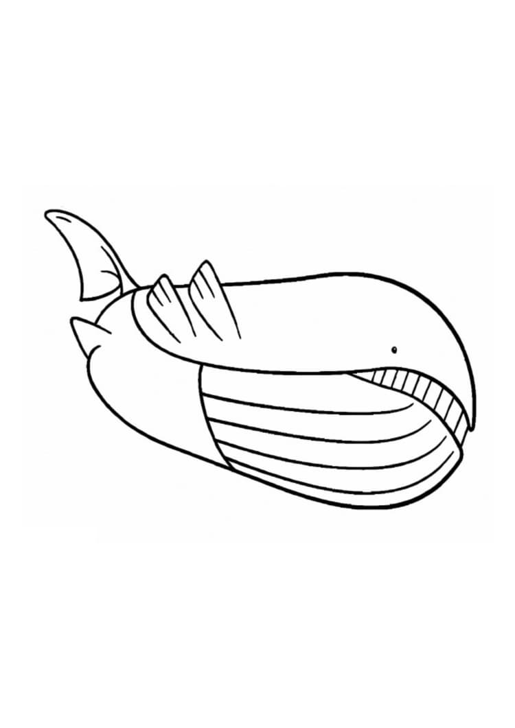 Coloriage Wailord (A4) à imprimer