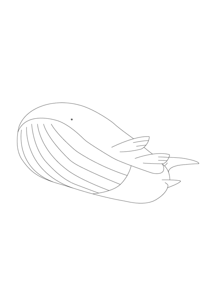 Coloriage Wailord (A4) à imprimer