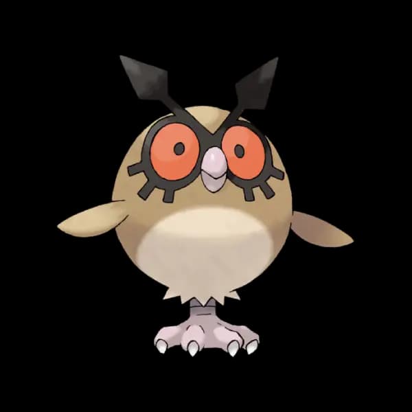 Hoothoot